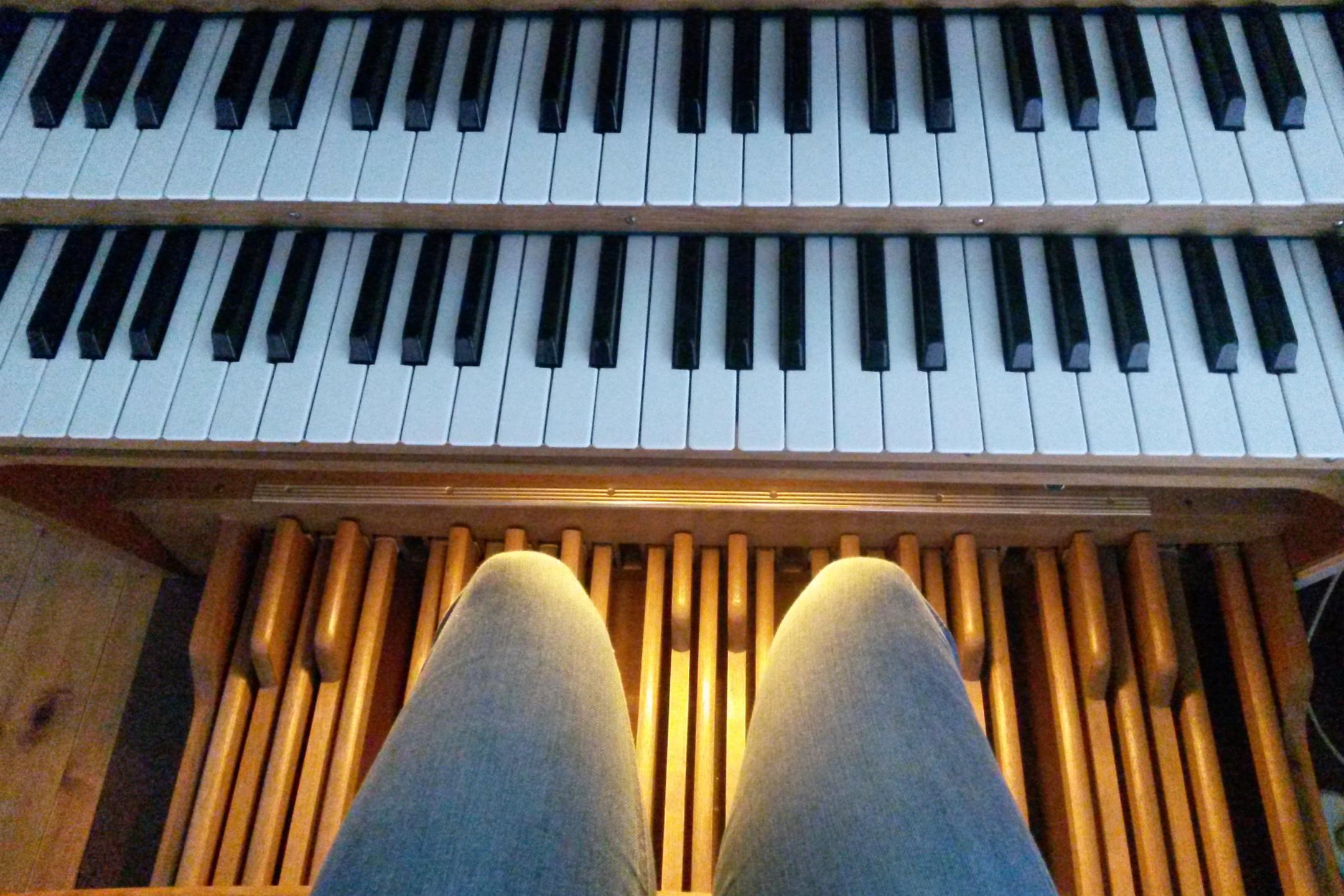 Das bild zeigt zwei Manuale und die Fußpedale einer Orgel. Im vordergrund kann man die Knie des Organisten sehen.